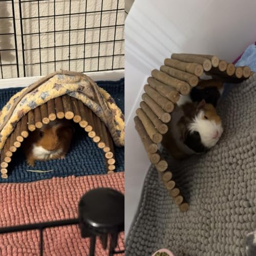 kathson Wooden Hamster Bridge,Guinea Pig Wood Ladder Bendable Tunnel Hideout Hut Small Animal Climbing Toys for Ferret Hedgehog Chinchilla Mice Rat Gerbil Baby Rabbit(15.7 x 6.0 in) - size: M (15.7 x 6.0 inches)