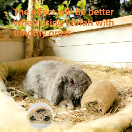 6Pcs Rabbit Chew Toys Loofah Guinea Pig Treats Bunny Enrichment Toys | Natural,with Rope,for Chinchillas Guinea Pig,Rabbit Toys for Bunnies Boredom,rabbit chew toys for teeth,bunny chew toys - size: 6PCS With a Rope