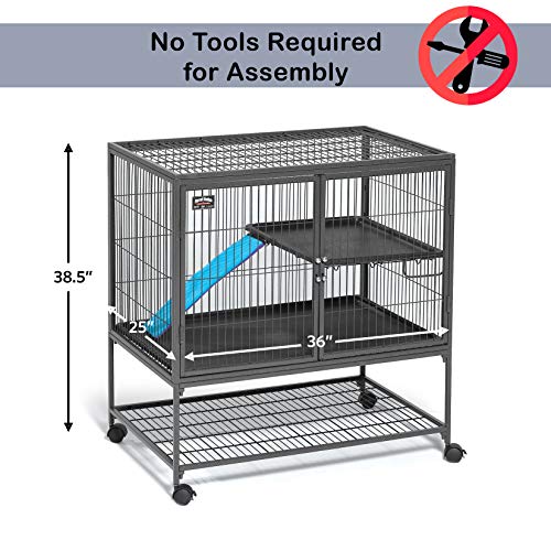 MidWest Homes for Pets Ferret Nation Single Unit Small Animal Cage, 2 Tiers, Includes Pan, Shelf, Ramp & Cover, for Ferrets & Other Small Animals - color: Black: 1 Inch Wire Spacing: Ferret Nation, size: Single Story