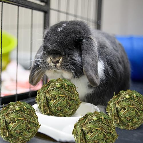 Hamiledyi 4 Pcs Rabbit Chew Ball Timothy Grass Ball Small Animal Activity Play Chew Toys Teeth Grinding for Bunny Rabbits Hamster Guinea Pigs Gerbils Chinchillas - style: Round 4 PCS