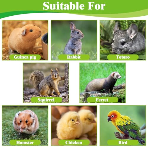 kathson 12 PCS Large Grass Mat for Rabbit, Natural Bunny Woven Hay Mat Straw Small Animal Bedding Nest for Guinea Pigs Hamster Chinchillas Puppy Biddy Sleeping Chewing Scratching