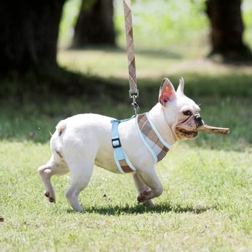 PUPTECK Soft Mesh Dog Harness and Leash Set Pet Puppy Cat Comfort Padded Vest No Pull Harnesses, Blue&Brown, S - color: Blue&Brown, size: S (NECK: 12", CHEST: 14"-18")