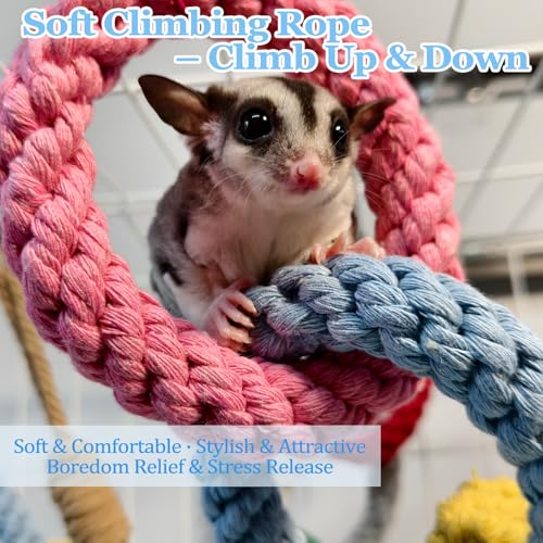 Sugar Glider Climbing Rope Toys Rat Cage Hanging Toys Small Animal Climbing Rings Cage Accessories for Flying Squirrel Sugar Glider Hamster Parrots - size: 3 Pcs