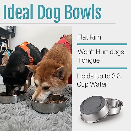 Nonslip Stainless Steel Dog Bowls, 3.8 US Cup, 2 Count | No slide silicone bottom, Dishwasher safe, Easy to clean, Stackable design - size: 3.8 Cup