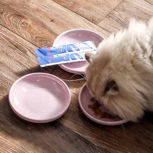 3 PCS Ceramic Cat Bowls, 5.5 in Pet Bowl Cat Dishes for Food and Water, Small Dog Dish(Purple) - color: Purple