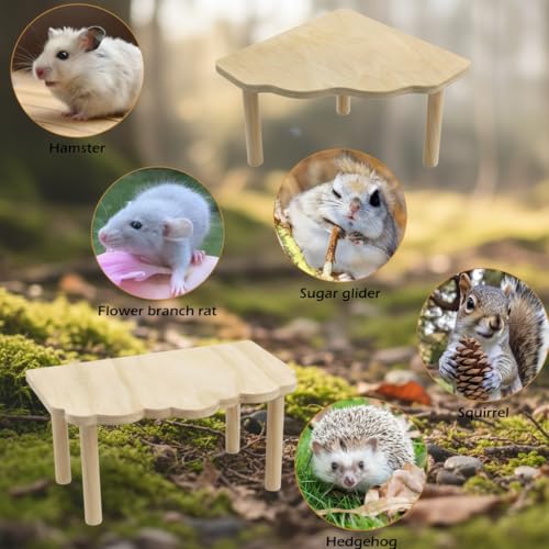 Hamster Platform 2 Pack - Wooden Cage Accessories for Dwarf Syrian Hamsters, Gerbils, Mice, Degus - Extra Large Wood Play Stand, Easy Install