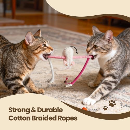 Cat Chew Ropes with Catnip Mouse, 3Pcs Cat Chew Toys for Large Cats Enrichment, 3-in-1 Catnip Toys Mouse & Strong Braided Ropes & Gall Fruits, Cats Teething Toys - color: Ropes