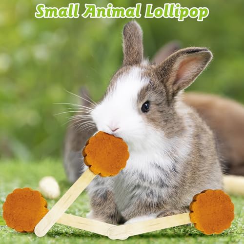 Hamiledyi Bunny Chew Toys for Teeth Natural Rabbit Lollipop Chewing Sticks Hamster Pumpkin Molar Toy Chews and Snacks for Guinea Pig Chinchilla Gerbil (Pumpkin,10Pcs)