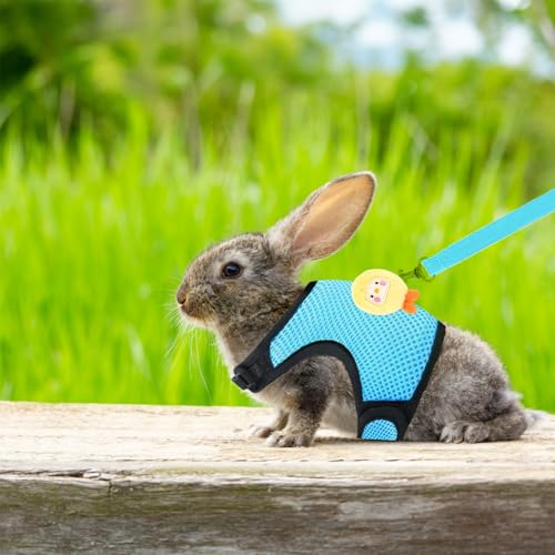 4-Pack Rabbit Harness and Leash Set, Rabbit Leash and Harness Set Escape Proof, Adjustable, with 2 Pendants, for Ferrets Pigs Puppies Small Animals Pets Outdoor Walking Supplies (Pink/Blue)