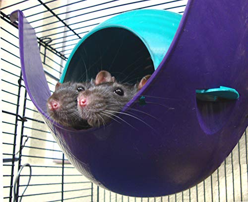Lixit Igloos and Hideaways for Guinea Pigs, Rats, Mice, Hamsters, Gerbils and Other Small Animals (Blue, Large Space Pod) - color: Blue, size: Large Sapce Pod