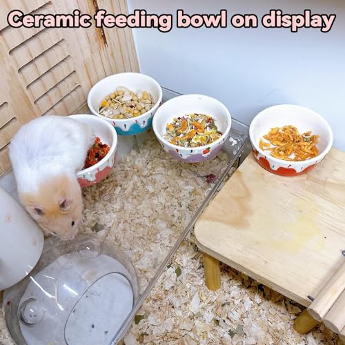 4 Pack Hamster Food Bowl Small Animals Ceramic Food Water Bowl Prevent Tipping Moving for Gerbil Chinchilla Hedgehog Rat - color: Pink + Red+Purple + Blue