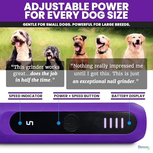 Diamondg Micro Dog Nail Grinder - Quiet Sound with LED Light, Purple | 5-Speed Rechargeable Pet Nail Trimmer for Small & Large Dogs, LCD Display, USB-C Charging, 4hrs. Runtime Rotary Tool - color: Micro - Purple