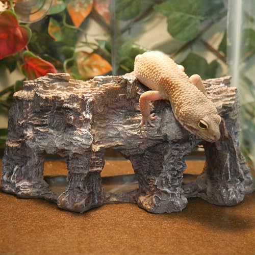 Penn-Plax Grotto Natural Cliff Rock-Scape Cave Hide Out – Terrarium and Aquarium Décor for Reptiles, Amphibians, Fish, and Other Small Animals – Medium Size (RR700)