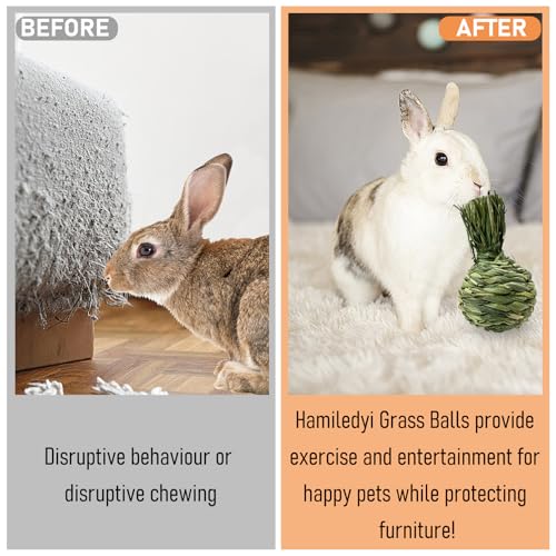 Hamiledyi Rabbit Chew Ball Bunny Timothy Grass Ball Natural Woven Chewing Toys Small Animal Activity Play Balls Chew Toys for Bunny Rabbits Hamster Guinea Pigs Chinchilla Gerbils 4PCS - style: Apple 4 PCS