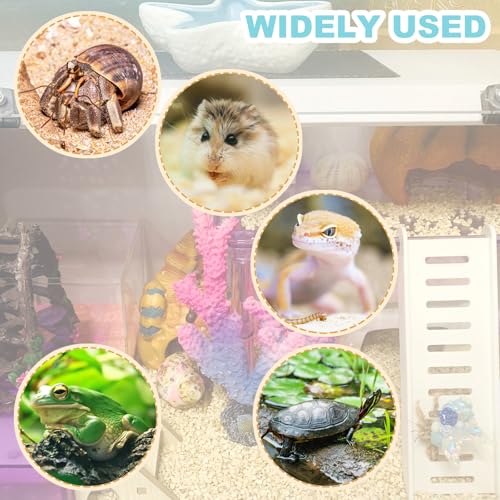Hermit Crab Accessories - Platform with Ladder and Food Dish, Hermit Crab Climbing Toys, Habitat Supplies and Tank Accessories for Reptiles, Hamsters, Geckos, Small Lizards - color: White