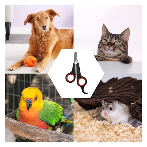 Pet Nail Clipper, Professional Claw Trimmer for Cat, Small Dog, Rabbit, Small Animal, Stainless Steel