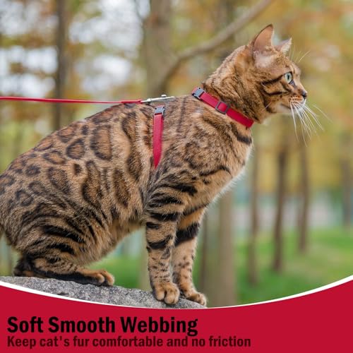 PUPTECK Adjustable Cat Harness and Leash Set Escape Proof Kitten Strap Collar for Walking Travel, Red, M - color: Red, size: Medium