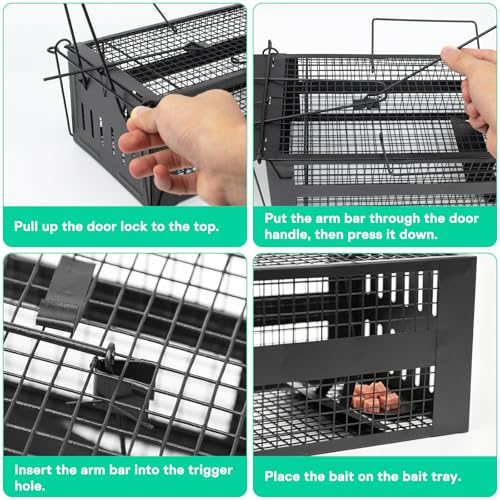 SZHLUX 2-Pack Rat Trap,Mouse Traps Work for Indoor and Outdoor,Small Rodent Animal-Mice Voles Hamsters Cage,Catch and Release(Black)