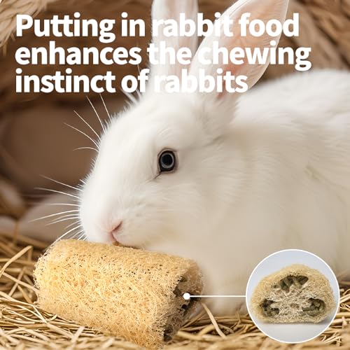 BESNEW Rabbit Chew Toys,100% Natural Loofah Without Additives,Bunny Chew Toys for Teeth,Fiber-Rich Rabbit Treats for Bunny Chinchilla Dogs - style: 1 ps