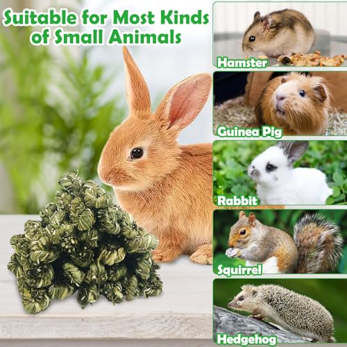 Hamiledyi 30 PCS Rabbit Chew Sticks Natural Grass Timothy Hay Sticks Handmade Guinea Pigs Chew Toys for Teeth Molar Snacks for Chinchilla Bunny Hamster and Other Small Animals - size: 0.48 Ounce (Pack of 30)