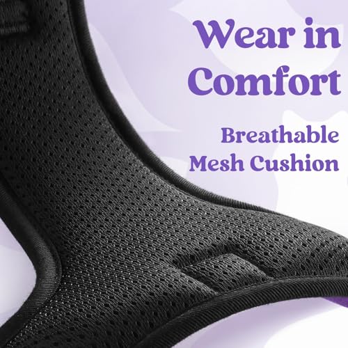 rabbitgoo Dog Harness Small Sized, Updated Easy On & Off with 3 Buckles | No Pull No Choke, Walking with 2 Clips and Handle, Adjustable Soft Reflective, Purple, Small - color: Purple, size: Small