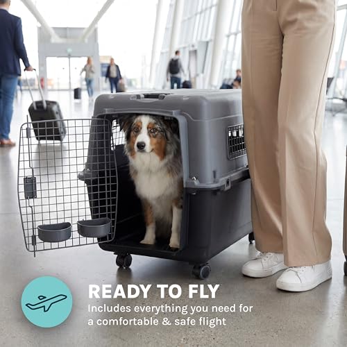 SportPet Airline Compliant LARGE 31.5" Travel Dog Kennel- Durable Plastic Airline Pet Carrier w/ Removable Wheels & Food Bowls, Collapsible Indoor/Outdoor Dog Kennel, Dogs up to 28"L & 20"H-Dark Gray - color: Dark Gray