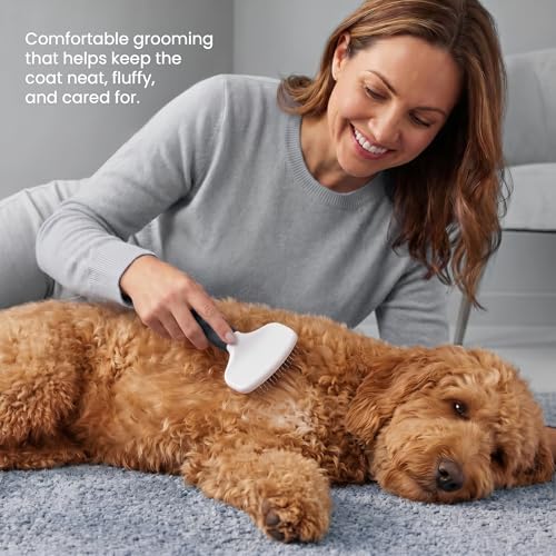 Poodle Pet Slicker Brush - For Dogs, Cats, and Rabbits - Removes Matted Fur, Knots, and Loose Hair - Suitable for Grooming Doodles and Goldendoodles with Short or Long Hair - color: Black, size: Regular Size