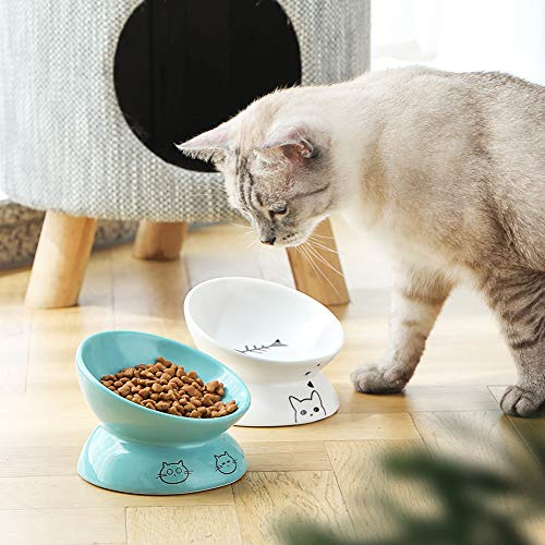 Sweejar Ceramic Raised Cat Bowls, Slanted Cat Dish Food or Water Bowls, Elevated Porcelain Pet Feeder Bowl Protect Cat's Spine, Stress Free, Backflow Prevention (Turquoise)