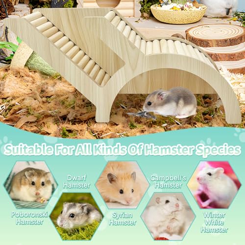 PINVNBY Hamster Climbing Ladder and Tunnel Hideout Wooden Hamster Climbing Toy Cage Decor Accessories for Gerbil Mice or Other Small Animals (Arch Bridge Tunnel)