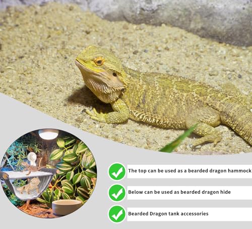 FlidRunest Bearded Dragon Hammock with Suction Cups, Soft Lizard Hammock Bed, Hanging Reptile Winter Warm House Tent Tank-Grey - color: Standard - Grey