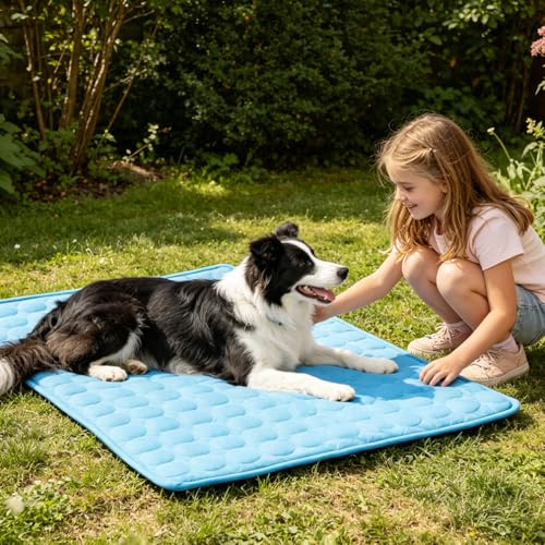 2026 Arc-Chill Upgraded Dog Cooling Mat Q-Max>0.4 Pet Cooling Pad | Non-slip Dog Bed Mats Washable Cooling Mat for Dogs Cats Instant Cool Relief for Indoor Floor Sofa, Outdoor Garden& Car Seats - color: Blue, size: 28x22 in