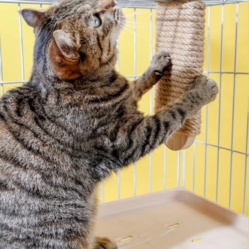 Cat Climbing Steps Scratching Tree - 2pcs Scratching Steps Sisal Hemp Cage Shelf Ladder Pets Perch Furniture Inside The cage with Install Screws (S) - size: S