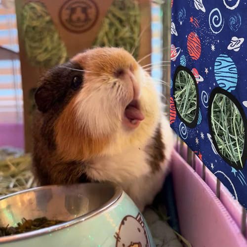 JarThenaAMCS 2 Pcs Rabbit Hay Feeder Bag with 2 Holes Guinea Pig Hanging Hay Feeding Bag Blue Galaxy Storage Dispenser for Chinchilla Hamster Bunny Small Animal Pet, 11.5 x 9 Inch