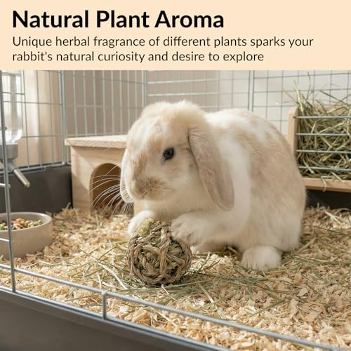 11 Pcs Rabbit Chew Toys, Interactive Bunny Foraging Toy, Natural Materials, Loofah Sponges, Seagrass Balls, Dental Cleaning, Relieve Stress