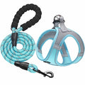 haapaw Dog Harness with Leash Set, No Pull Adjustable Reflective Step-in Puppy Harness with Thickened Padded Vest for Extra-Small/Small Medium Dogs - color: Grey / Blue, size: M