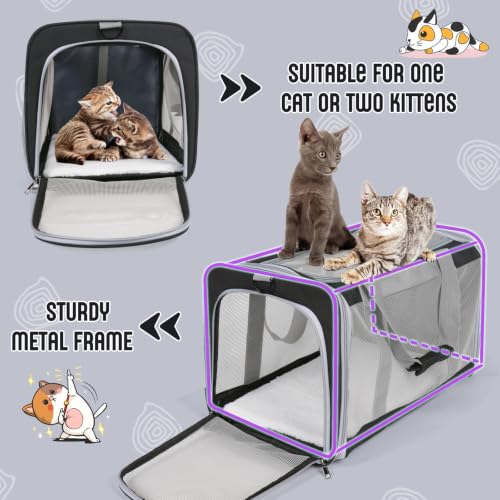 Pet Carrier for Cats Up to 16 Lbs, Collapsible Bag for Medium Cat or Kittens, Soft Sided Puppy Carrier with Sturdy Transport Strap, Adequate Ventilation, 4 Mesh Windows (Black) - color: Black