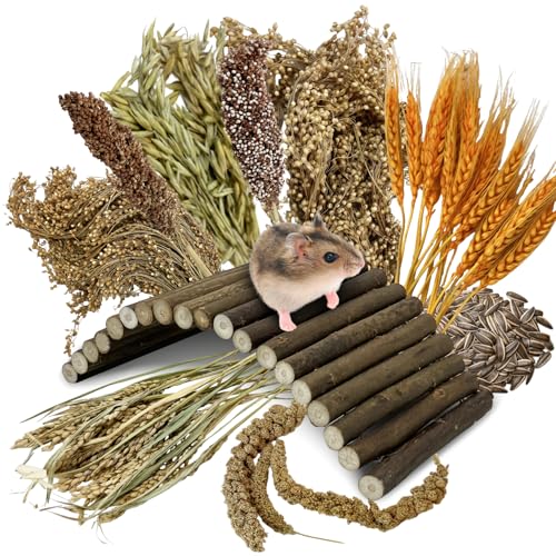 Tfwadmx Hamster Ladder Bridge & Small Animal Natural Ear of Grain Spray Hamster Bedding Habitat Decor Flexible Bendy Hamster Climbing Toy for Dwarf Syrian Mice Gerbils - size: 8.7 x 3.9 inches
