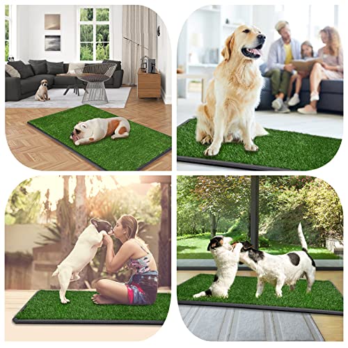 LOOBANI Large Dog Grass Pad with Tray - 47.6×29in for Balcony Apartment | 2 Replacement Fake Grass Pads, Easy to Clean, Dog Litter Box, Balcony/Apartment/Indoor/Outdoor Use - size: Tray Potty 47.6*29inch