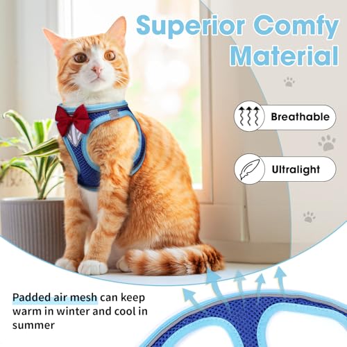 Cat Vest Harness and Leash Set, Escape Proof Kitten Harness Blue XS | Safe Reflective Strips, Adjustable Easy Wear Kitty Harness, Sturdy Clip Buckle, Breathable Mesh , for Kitty Puppy Bunny Walks - color: Blue, size: XS