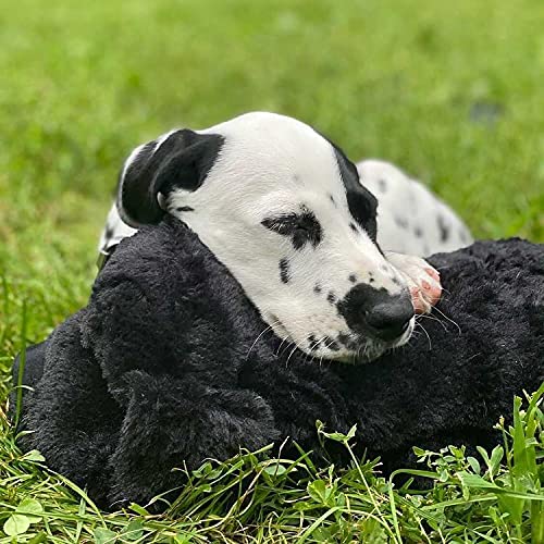 Snuggle Puppy Heartbeat Dog Toy for Puppies, Real-Feel Heartbeat, Calming Sleep Aid and Crate Training Comfort Toy with Heat Pack, Black Plush Design | Calming heartbeat toy, crate training comfort, heat pack, new puppy essentials, first nights, sleep, me