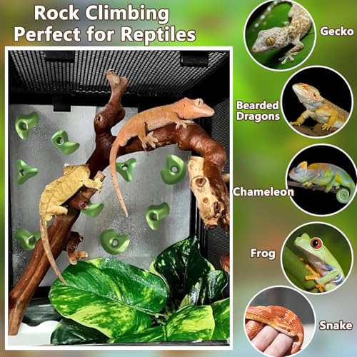 Mushroom Terrarium Decor & Climbing Hold Kit,with 12 Rock Holds, Suction Cups & Adhesive Dots for Geckos, Frogs, Small Lizards & Snakes in Dry/Semi-Moist Habitats (Lavender Silver) - color: Lavender Silver