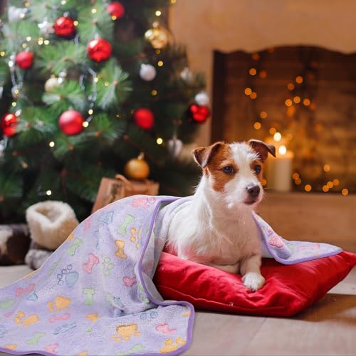 Dono 1 Pack 3 Dog Blankets, Soft Fluffy Fleece Pet Blanket Warm Sleep Mat Paw Print Design Puppy Kitten Throw Blanket Doggy Mat, Blanket for Dogs - color: Brown/Pink/Purple, size: Medium(30*20")