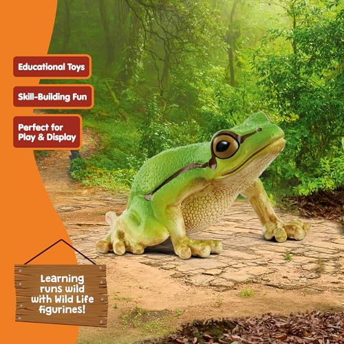 Schleich Wild Life - European Tree Frog Toy Figurine. Realistic Hand-Painted Animal Toys for Boys and Girls. Durable Educational Wolf Figure for Imaginative Play. Kids and Toddlers Ages 3+ 14882