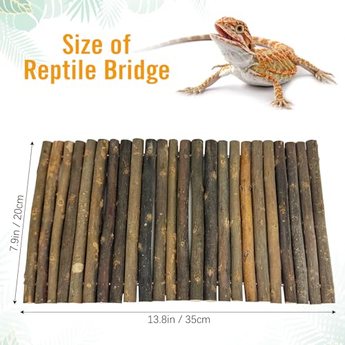 Hamiledyi 13.8" L x 7.9" W Wooden Reptile Bridge Ladder Climbing Toy Natural Hideout Tunnel Ramp for Lizards Gecko Spiders Snakes Tortoise