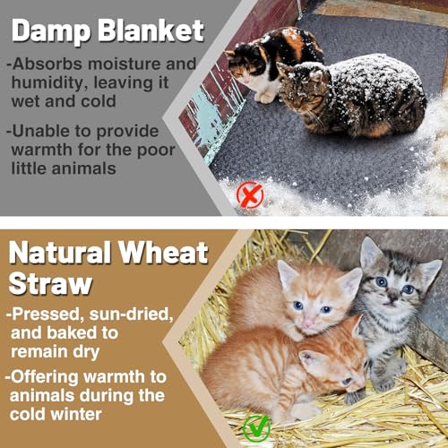 Acostop Natural Dry Wheat Straw for Garden Mulch Stray Cats Dogs Shelter | 2 LB Clean Soft Warm Chicken Coop Yard Farm Pets Bedding, Decorative Straw Bale, Landscaping Weed Cover - size: 2 LB