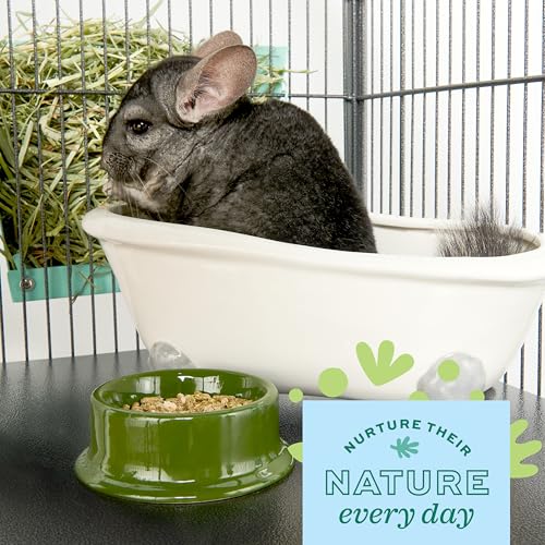 Oxbow POOF! Chinchilla Dust Bath, Natural Chinchilla Dust, USA, 2.5 lb | Blue Beauty, Dust For Chinchillas, Chinchilla Dust, Degus, Gerbils, Hamsters, Grooming, Coat Care, Small Pet Supplies, - size: 2.5 Pound (Pack of 1)