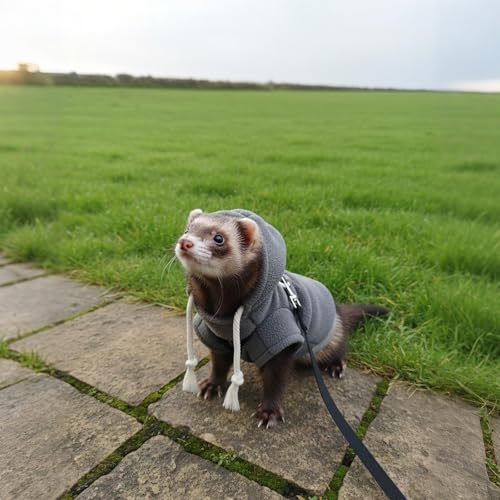 Small Pet Harness Vest and Leash Set Ferret Clothes Hoodies for Ferrets for Outdoor Walking Rabbit Ferret Guinea Pig Bunny Hamster Puppy Kitten (Gray Clothes + Leash) - color: Gray clothes + leash
