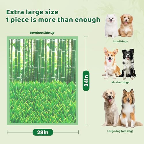 Puppy Pads XL 60 Count - 28"x34" with Adhesive Tabs - size: 28 x 34 inches (60 Count)