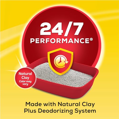 Purina Tidy Cats Clumping Cat Litter Odor Control, 24/7 Performance Multi Cat Litter - 16 lb. Bag (Pack of 2) - size: 16 Pound (Pack of 2)