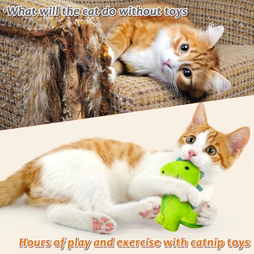 MALLMALL6 5Pcs Dinosaur Catnip Toys for Cat, Indoor Cat Chew Bite Kick Catmint Pet Supplies for Kitten Lover Gifts, Interactive Pet Toy with Cute Expression - style: Dinosaur